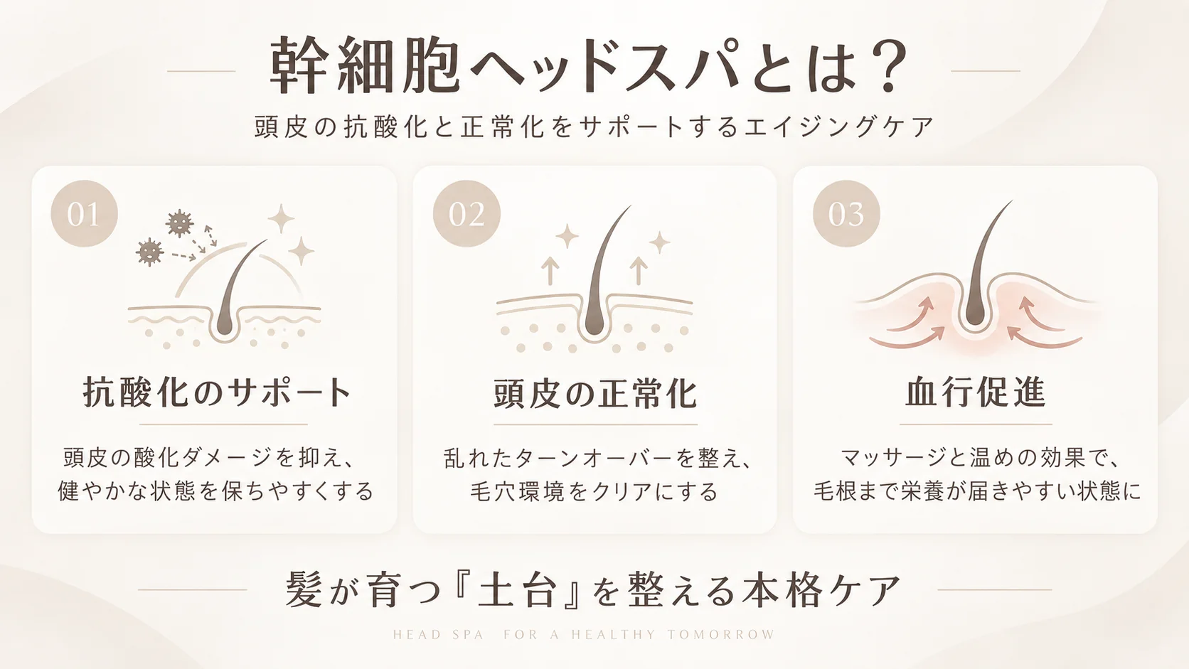幹細胞ヘッドスパの3つの働き（抗酸化・頭皮の正常化・血行促進）を解説したインフォグラフィックス